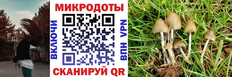 наркотики  Благовещенск  Псилоцибиновые грибы мухоморы 